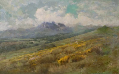 Paisaje